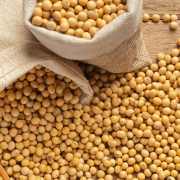 soybeans seeds